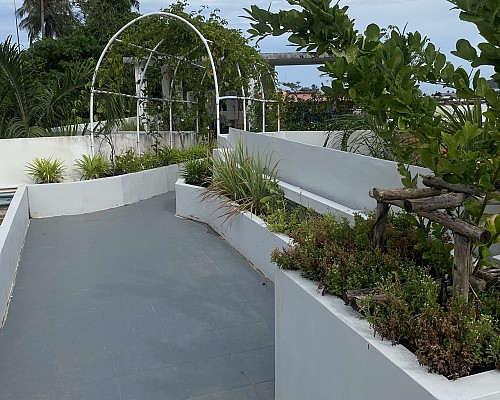 Roof Garden