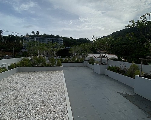 Roof Garden