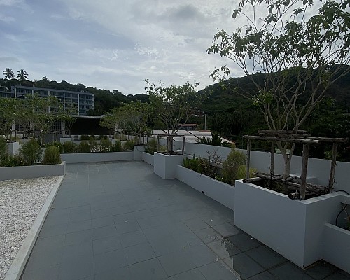 Roof Garden