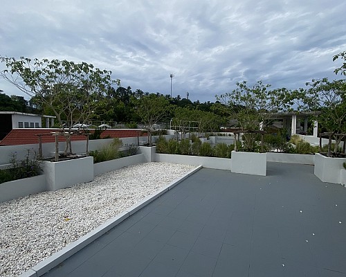 Roof Garden