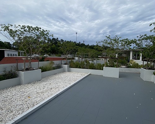 Roof Garden